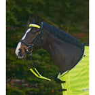 Waldhausen Conjunto de Brida Reflex 3 Piezas Amarillo Neon
