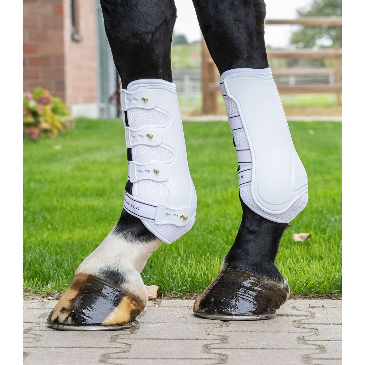 Waldhausen Botas para tendones Breath Blanco