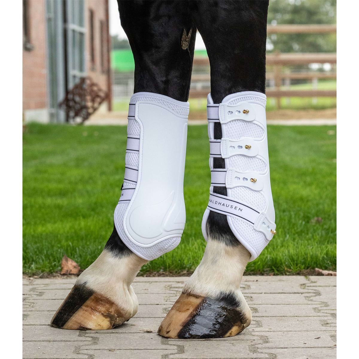 Waldhausen Botas para tendones Breath Blanco