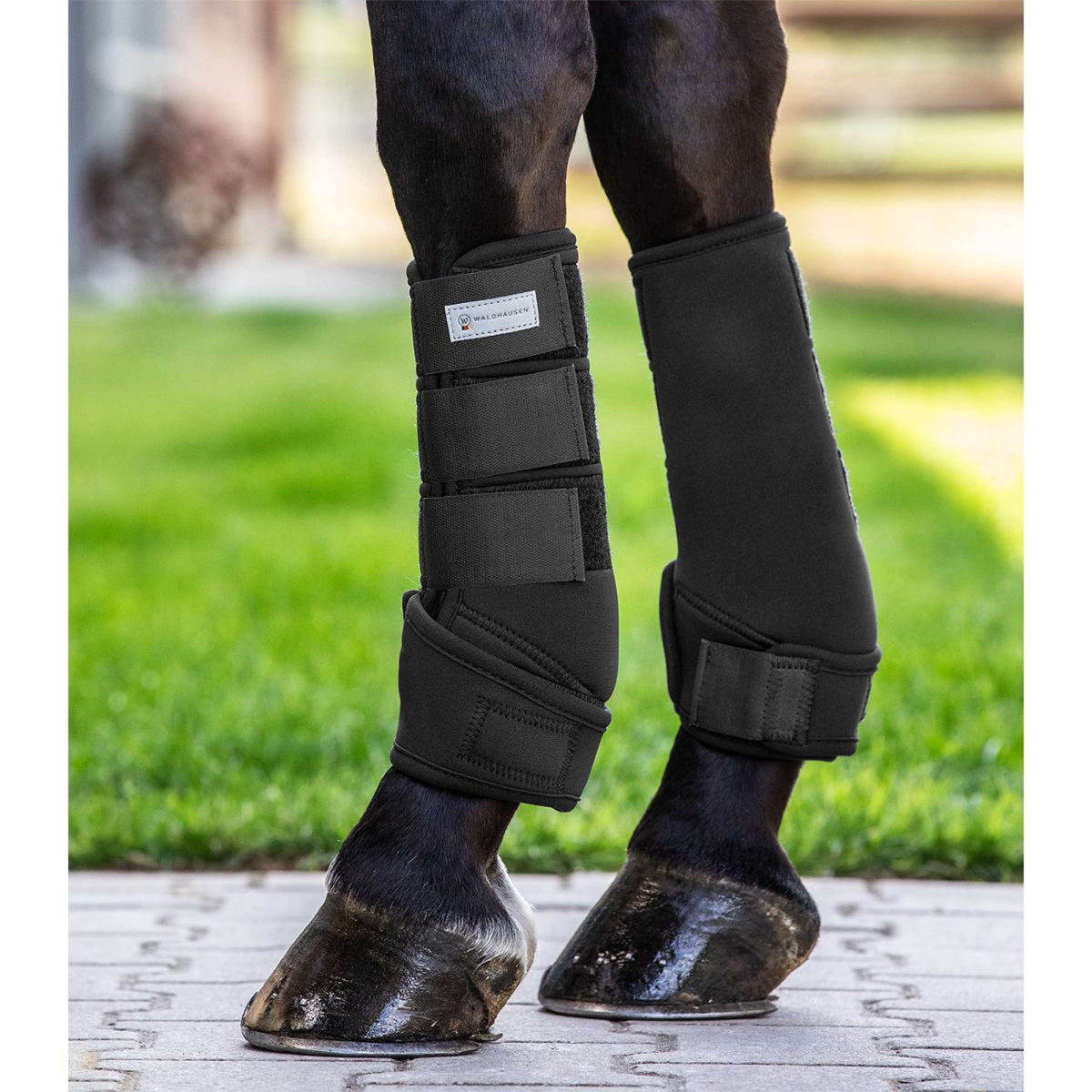 Waldhausen Protectores de piernas Protect Negro