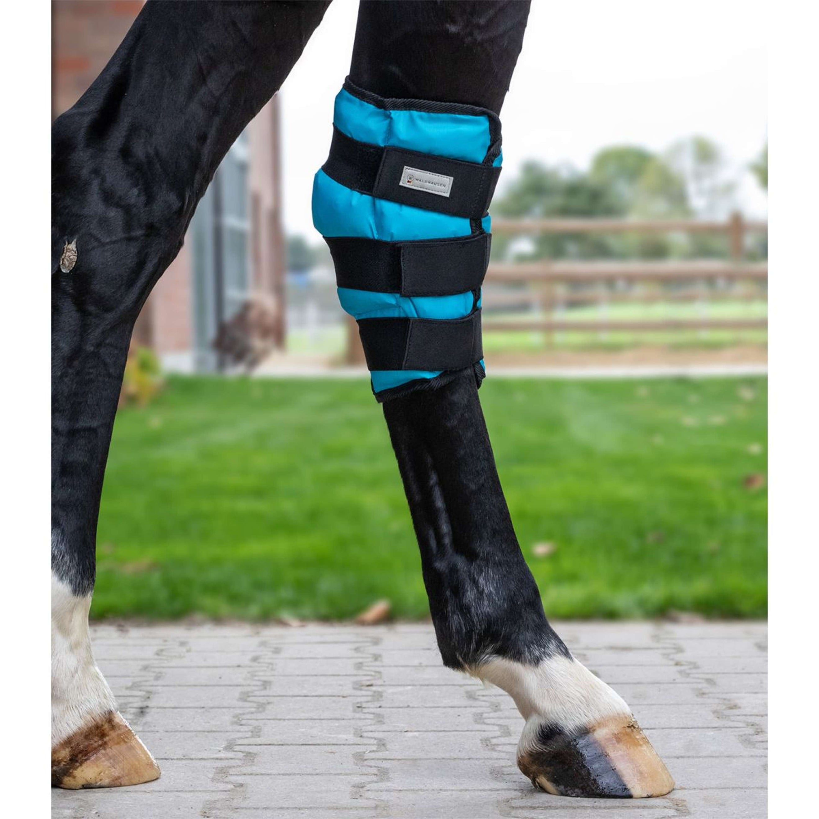 Waldhausen Health + Care Ice Boot Gel Corvejón Petrol Waldhausen Health + Care Ice Boot Gel Corvejón Petrol