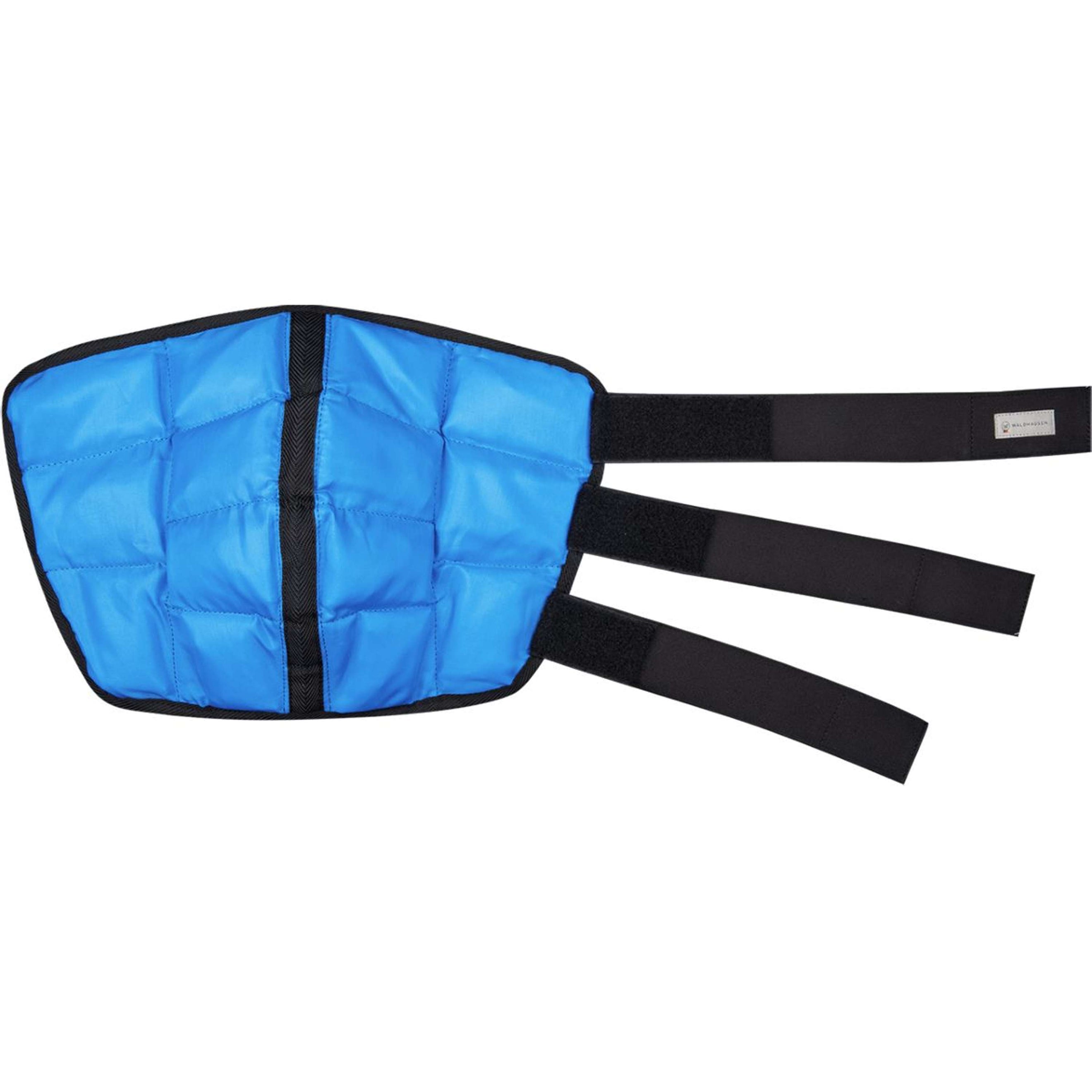 Waldhausen Health + Care Ice Boot Gel Corvejón Petrol