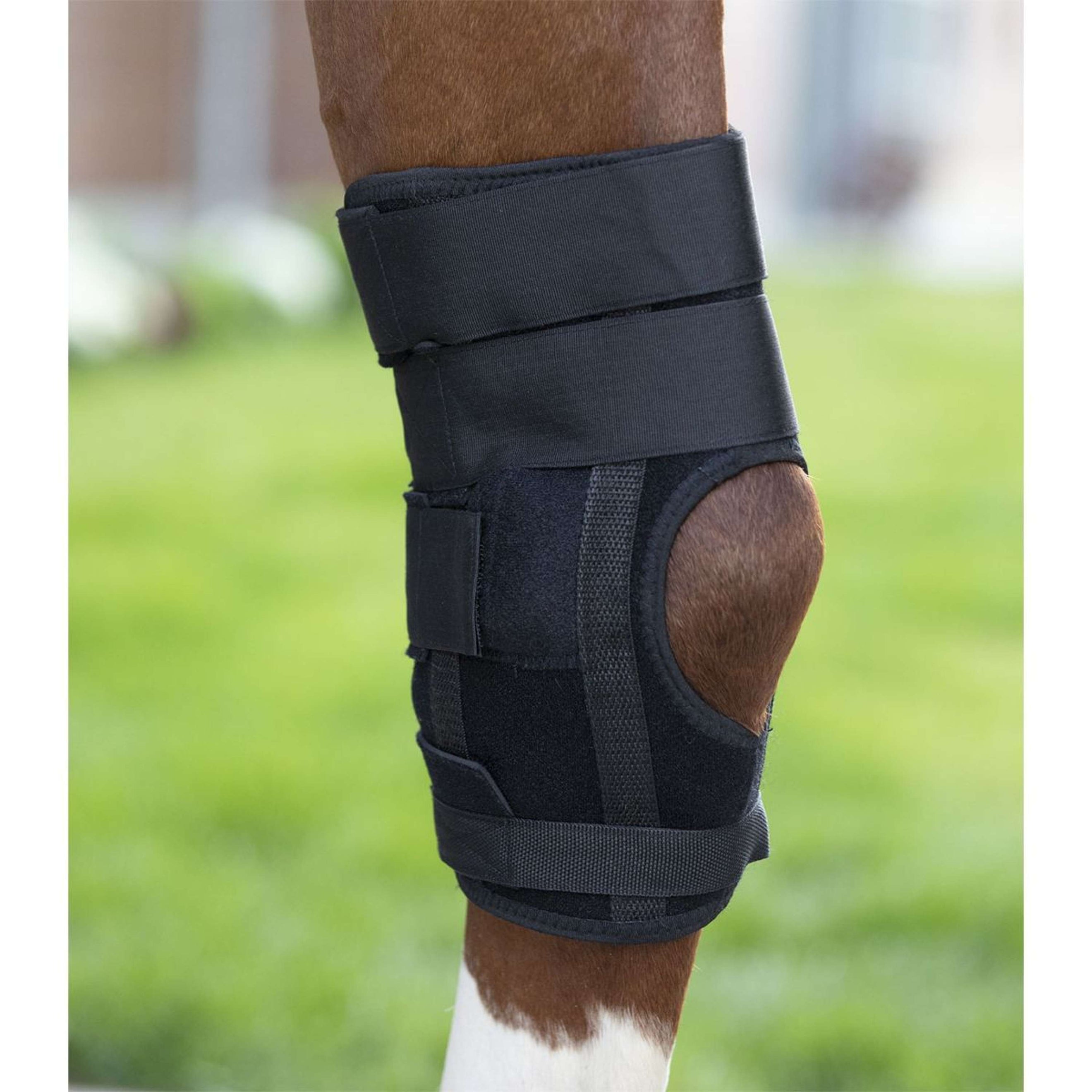 Waldhausen Protector de piernas Health & Care Español (ES): Corvejón Negro