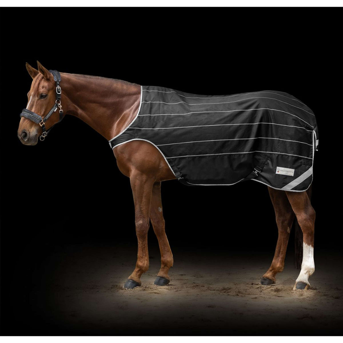 Waldhausen Manta para Caminadora Reflex Negro/Plata Gris