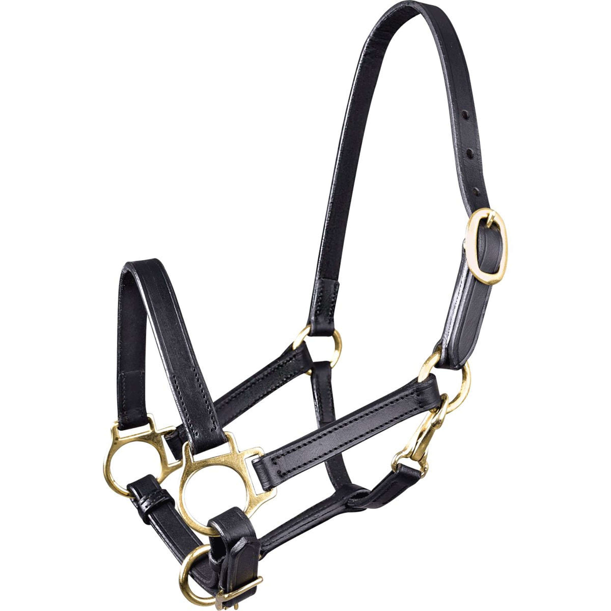 Waldhausen Cabezada Leder Negro