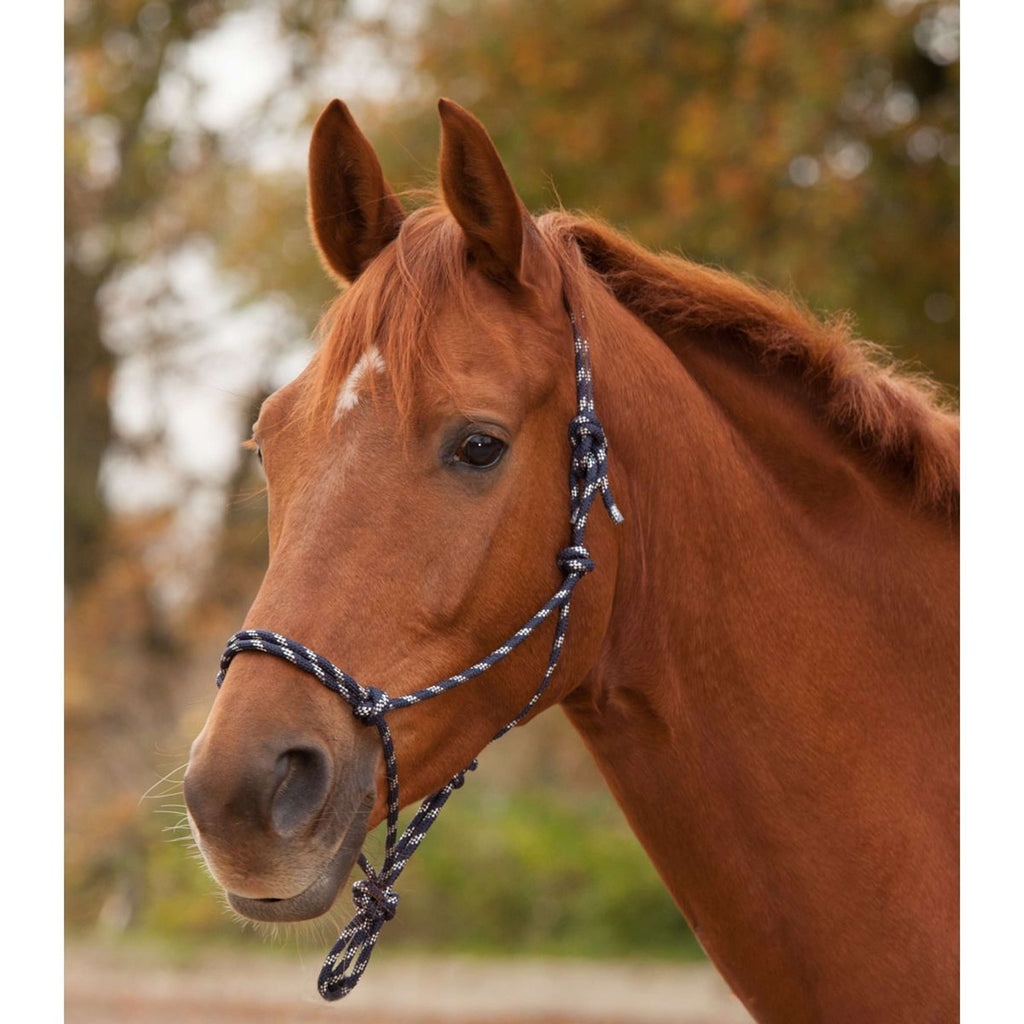 Waldhausen Cabestro de Cuerda Azul noche/Plata