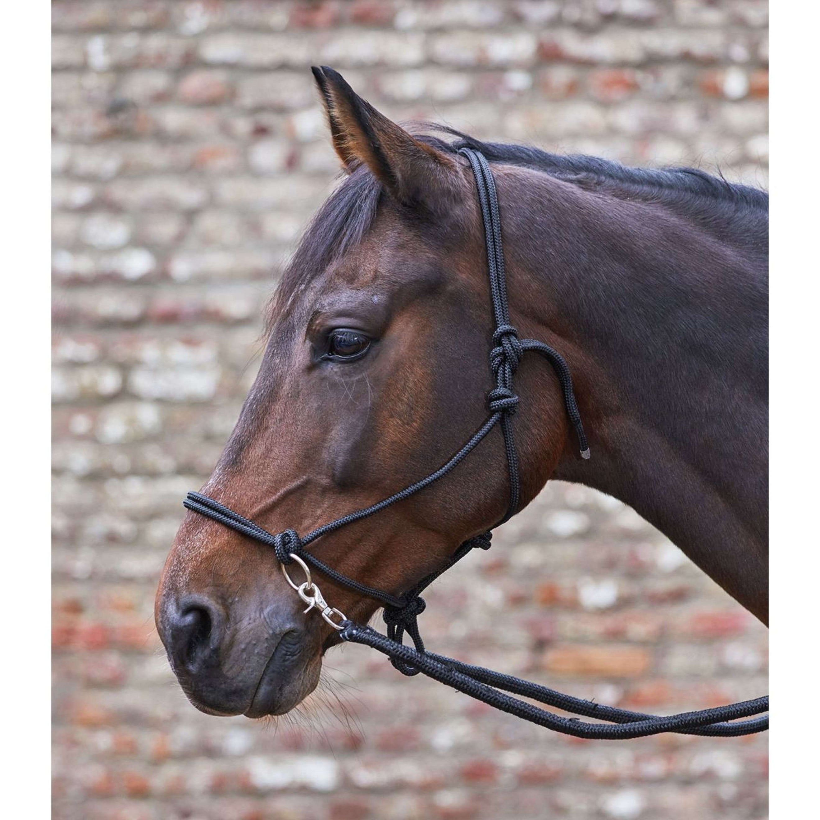 Waldhausen Cabezada de Cuerda Portuguese (PT): com Rédeas Negro Waldhausen Cabezada de Cuerda Portuguese (PT): com Rédeas Negro