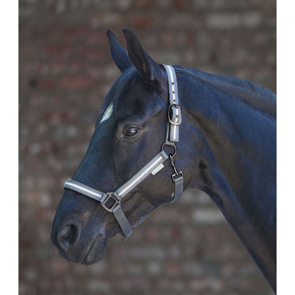 Waldhausen Cabestro Reflex Stripe Gris