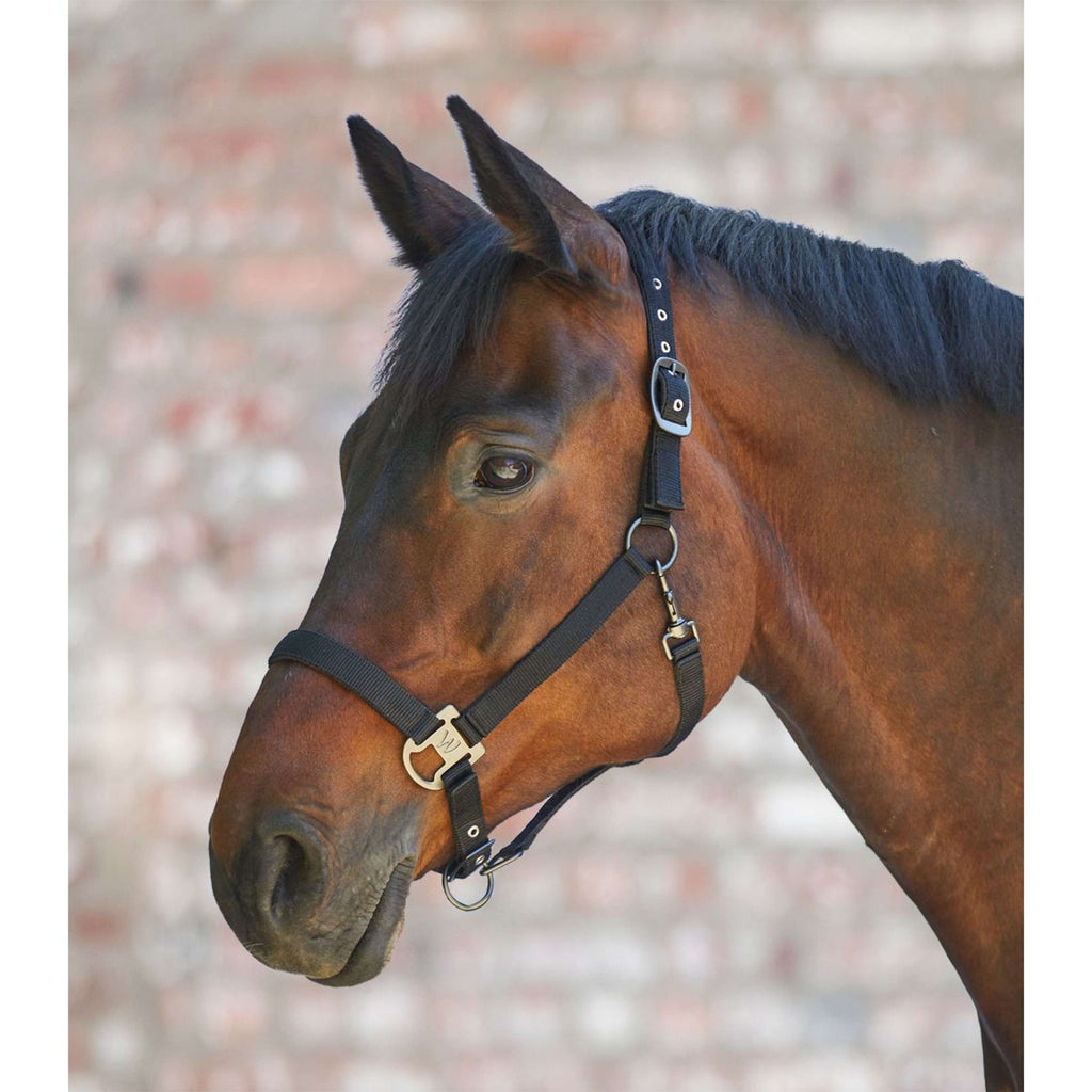 Waldhausen Cabestro Gloomy Negro