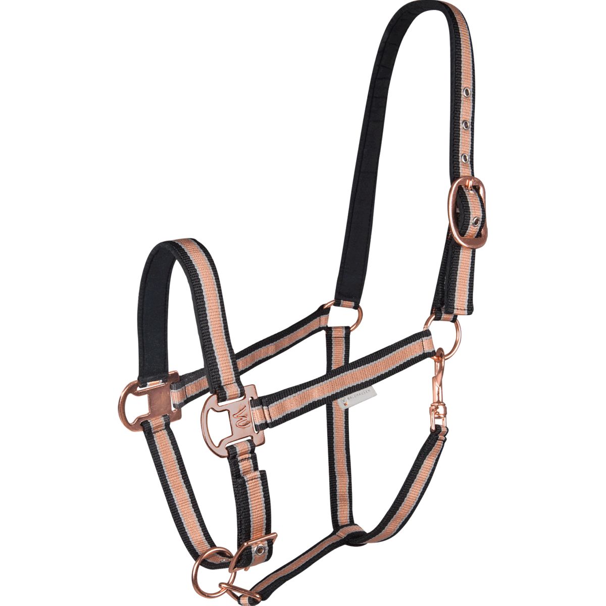 Waldhausen Cabezada Shine Negro/Rose