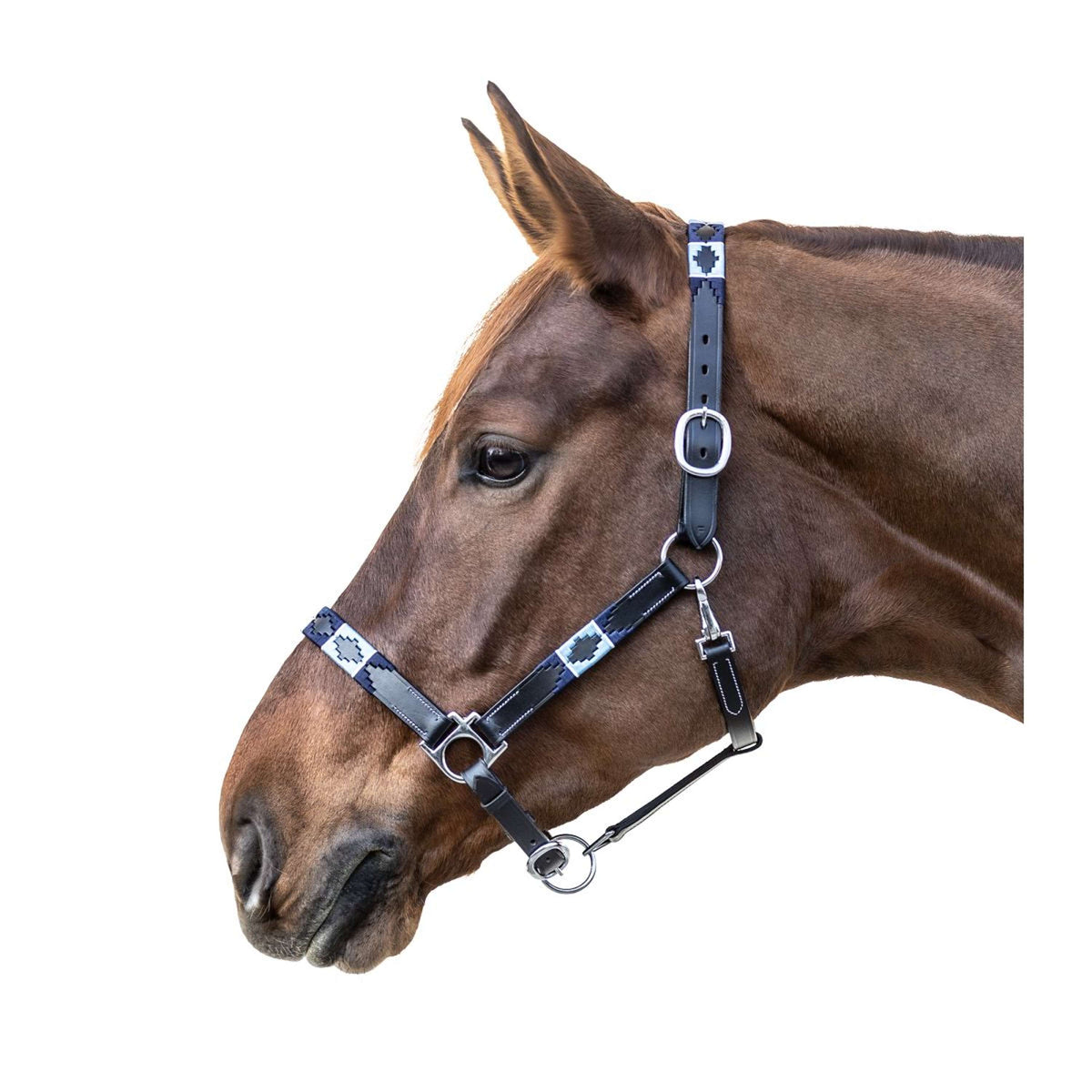 Waldhausen Cabezada Polo Leder Negro/Azul