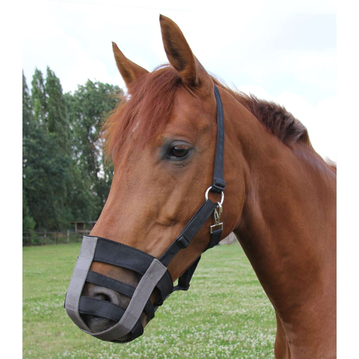 Waldhausen Mascarilla para Pastar Negro Gris