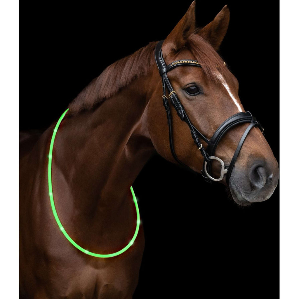 Waldhausen Halsring LED Verde