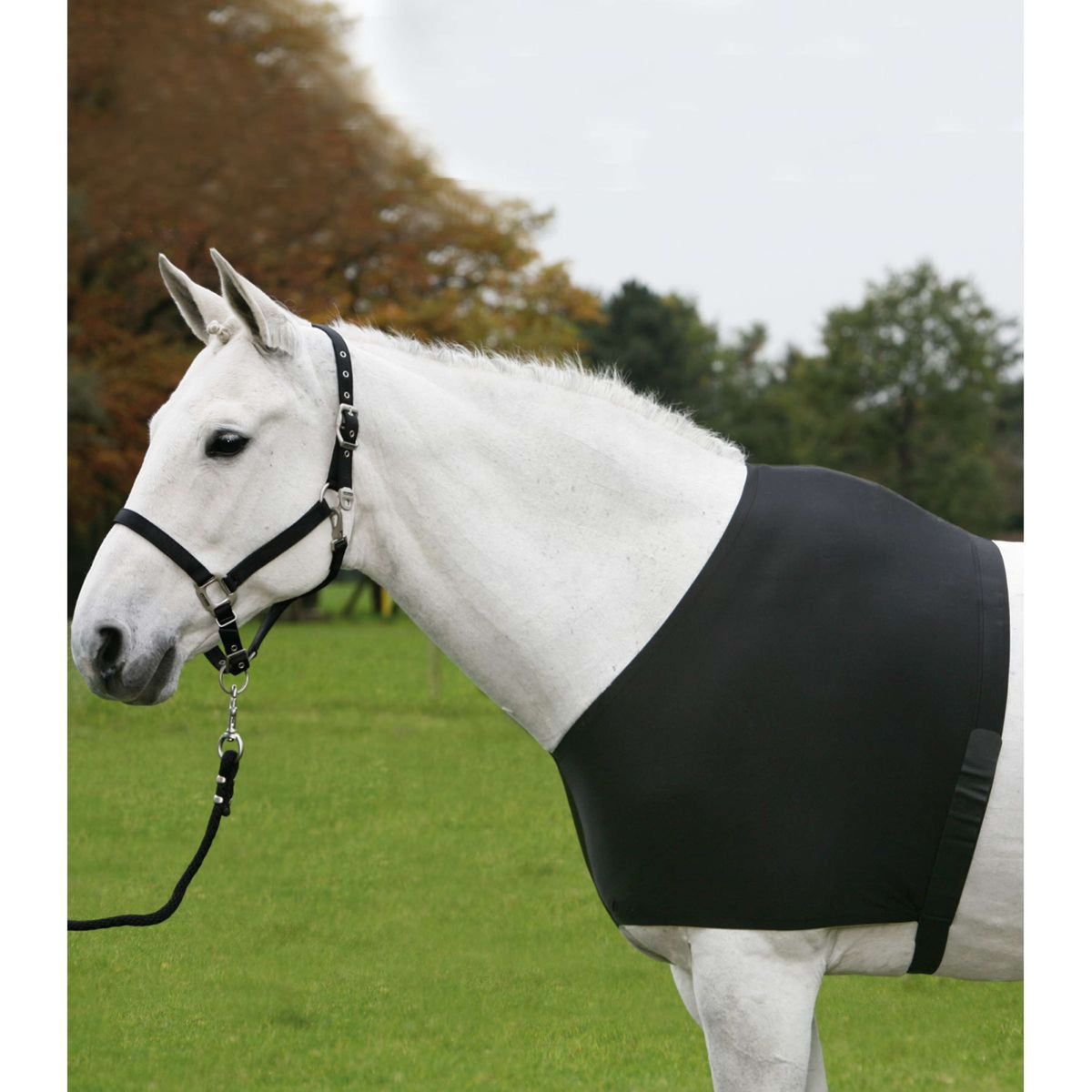 Waldhausen Protector de Pecho Comfort Vest Negro
