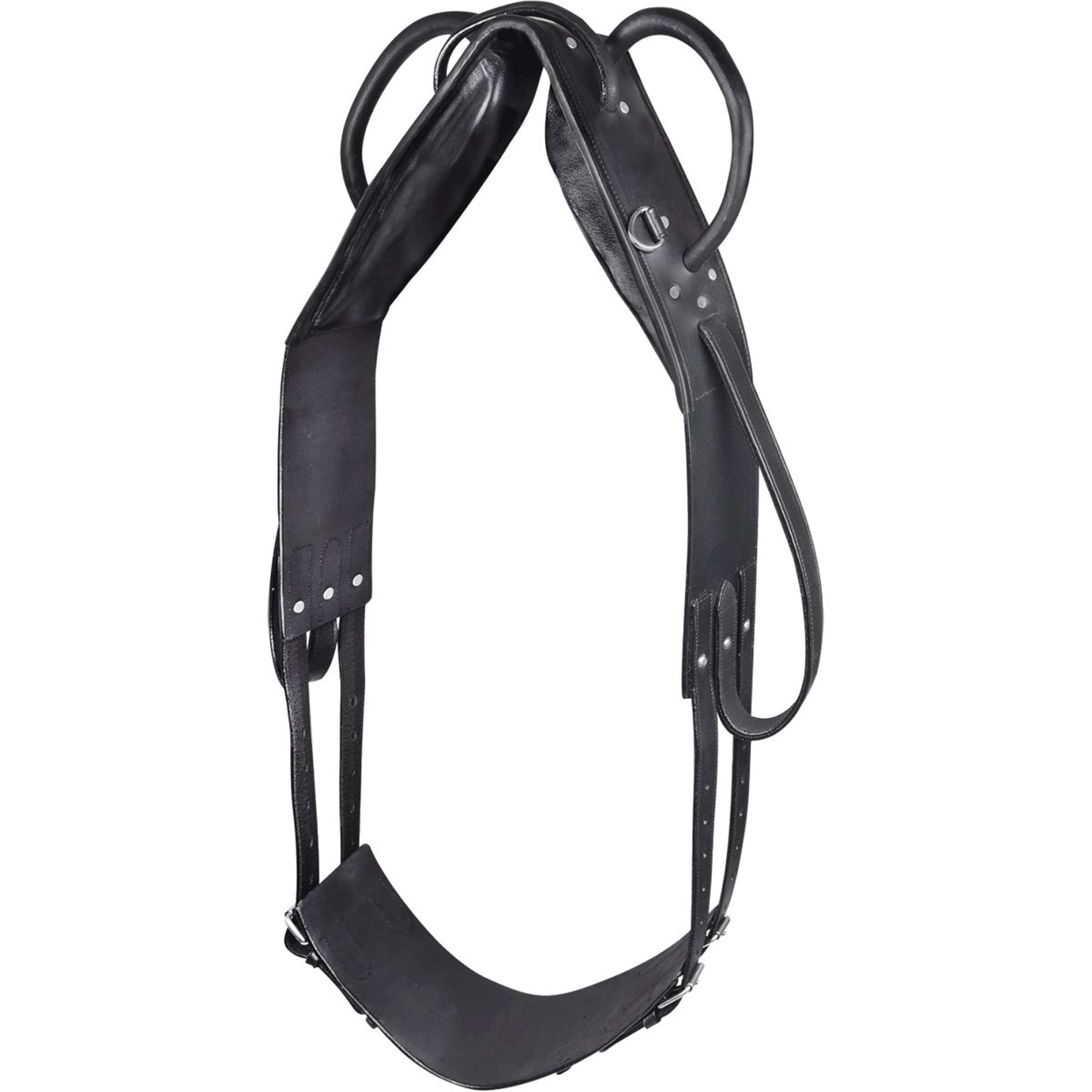 Waldhausen Cinchón de Cuerda Negro