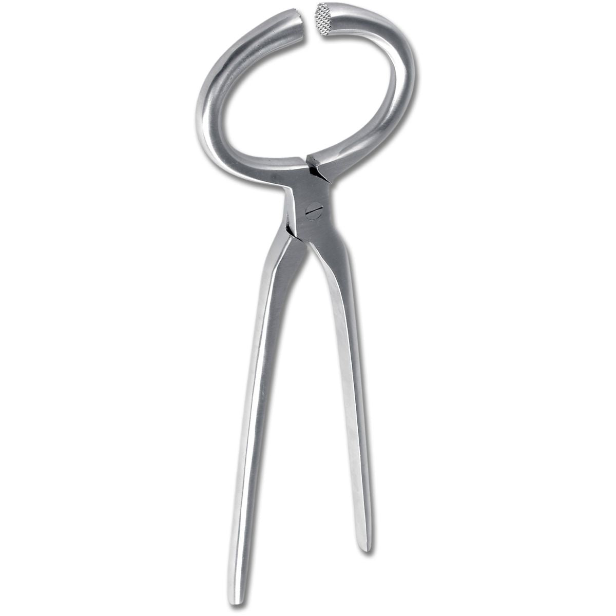Waldhausen Pinza de exploración de cascos Acero inoxidable