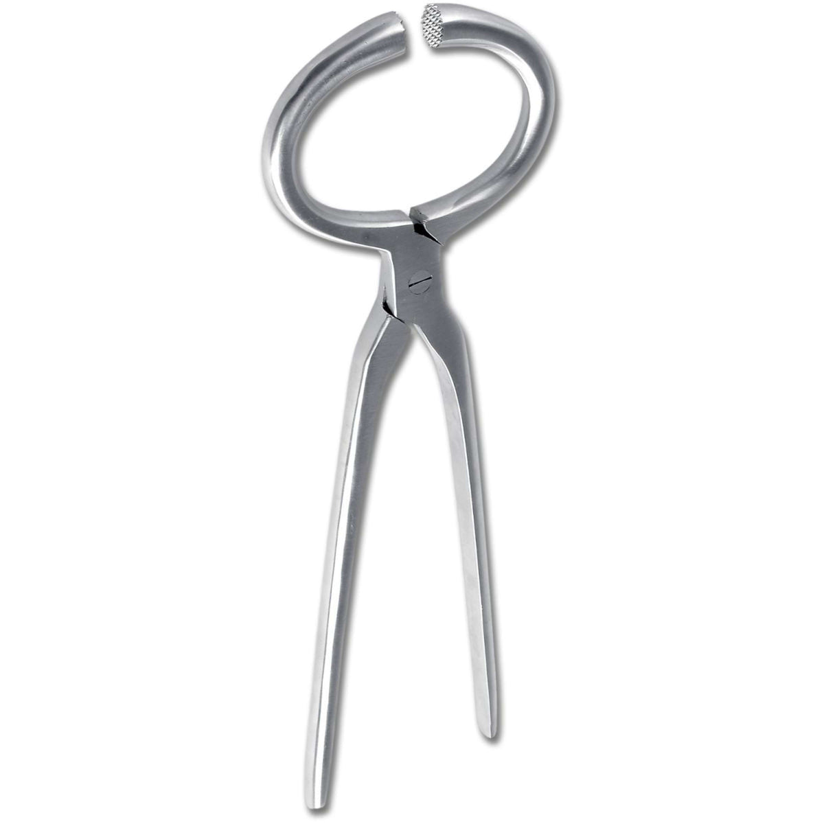 Waldhausen Pinza de exploración de cascos Acero inoxidable