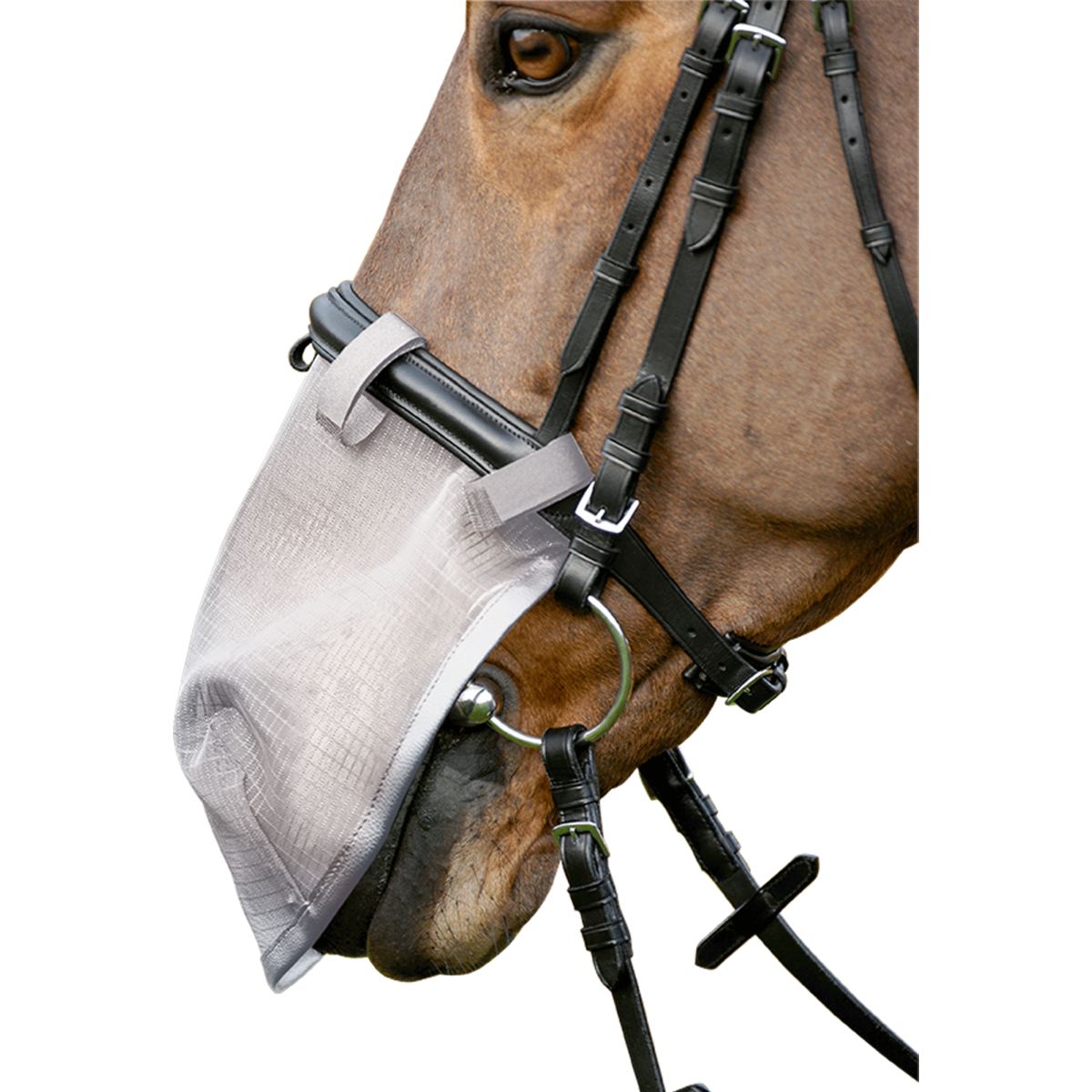 Waldhausen Red nasal Test2 Gris Plateado