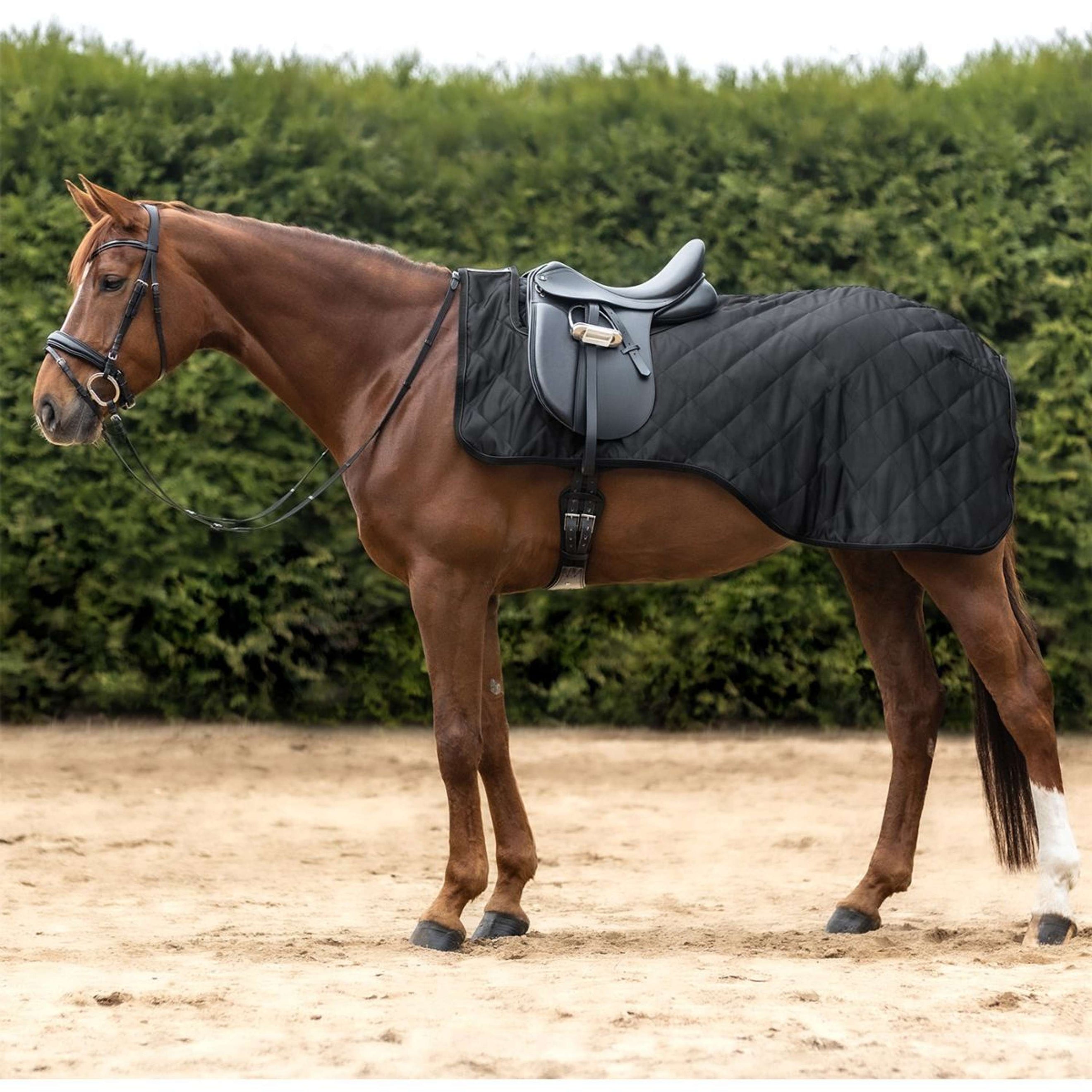 Waldhausen Manta de ejercicio Exclusive Negro Waldhausen Manta de ejercicio Exclusive Negro