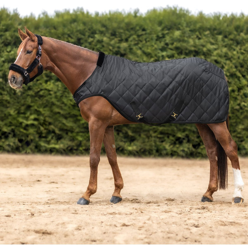 Waldhausen Manta de molino Exclusive Negro