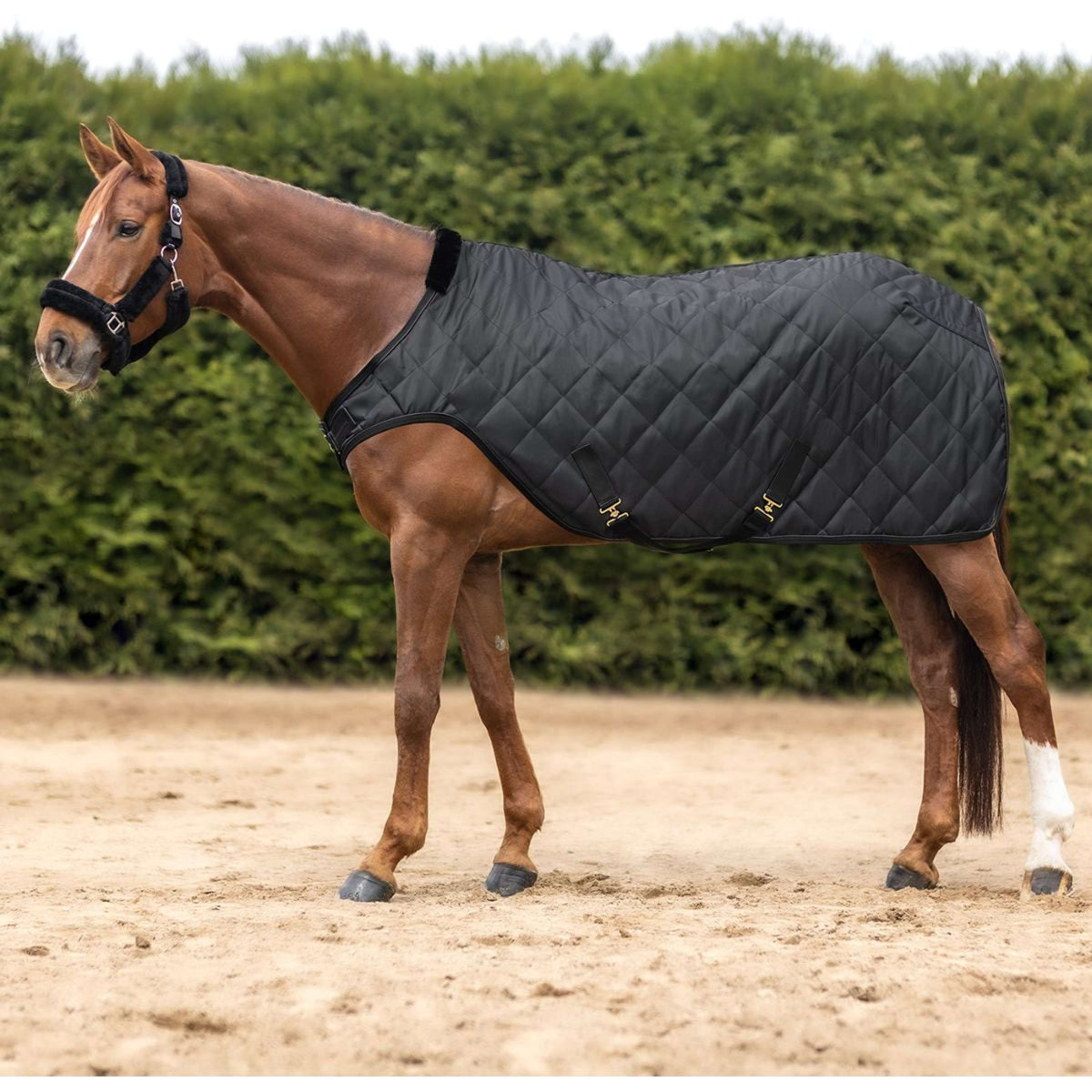 Waldhausen Manta de molino Exclusive Negro