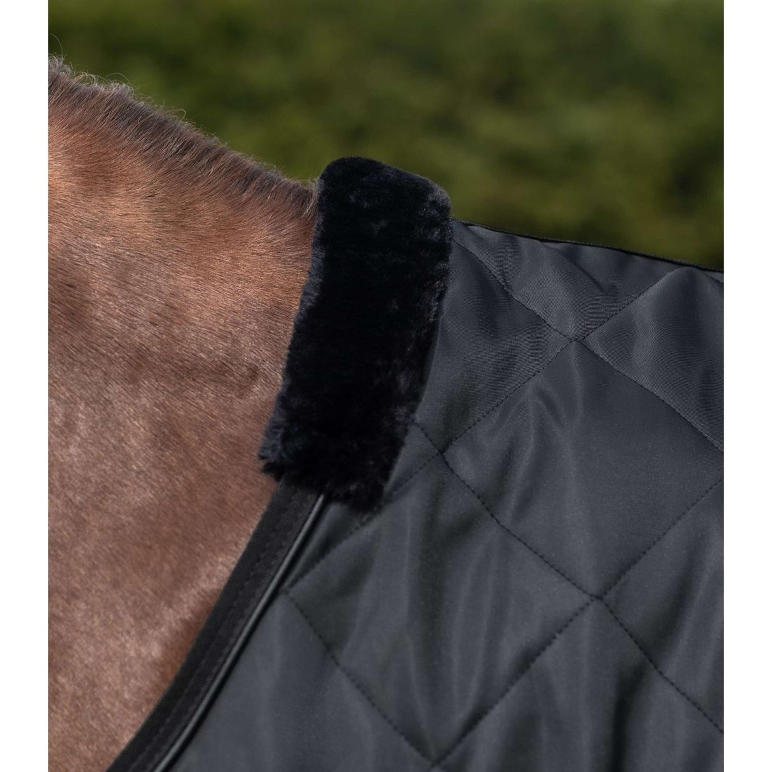 Waldhausen Manta de molino Exclusive Negro Waldhausen Manta de molino Exclusive Negro