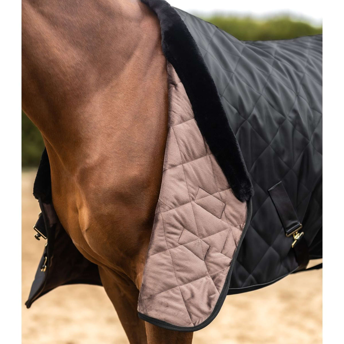 Waldhausen Manta de Transporte Exclusive Negro