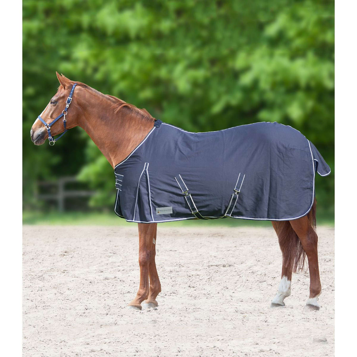 Waldhausen Manta de Cuadra/Verano Nightblue