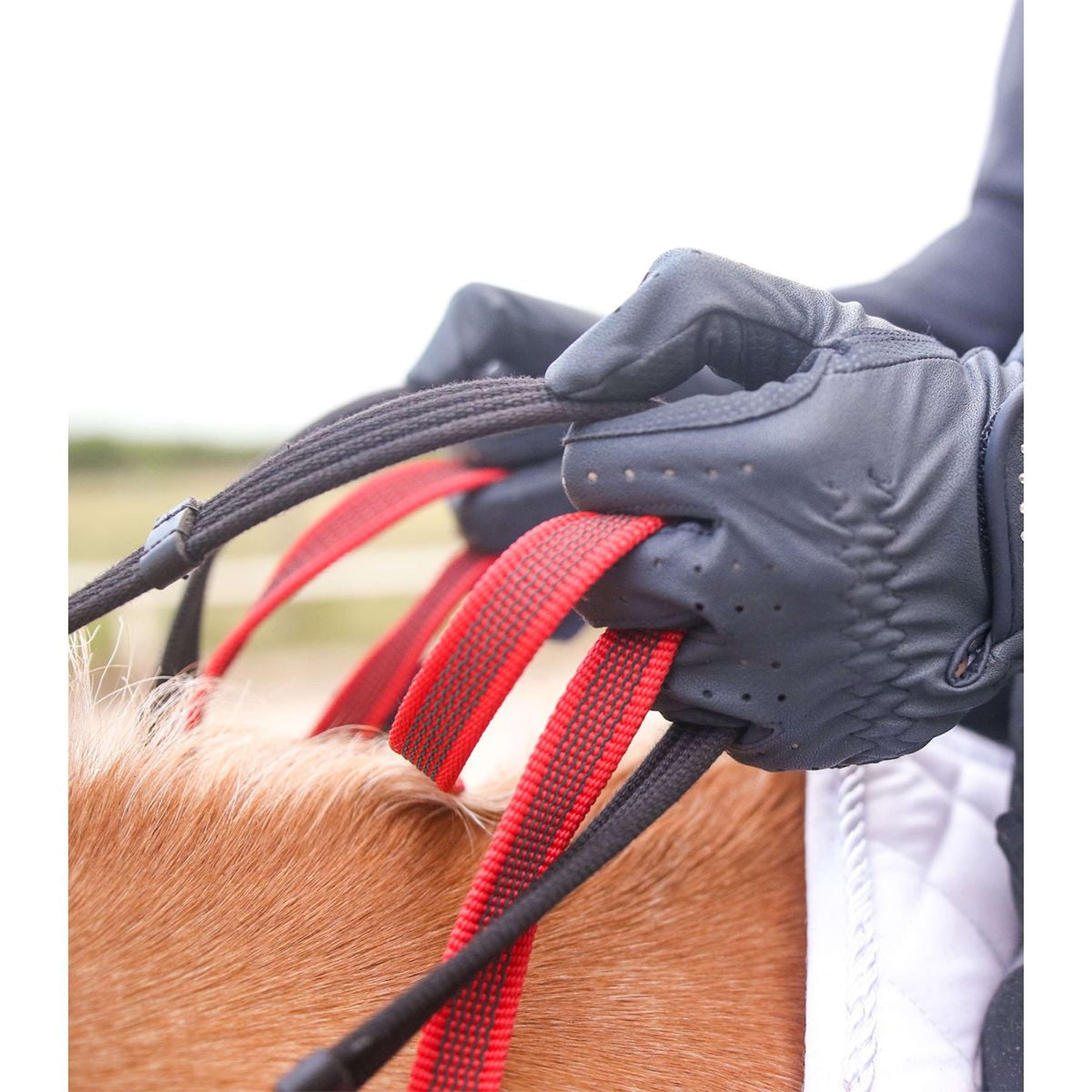 Waldhausen Arnés Frontal Secutrust con Riendas de Seguridad Negro