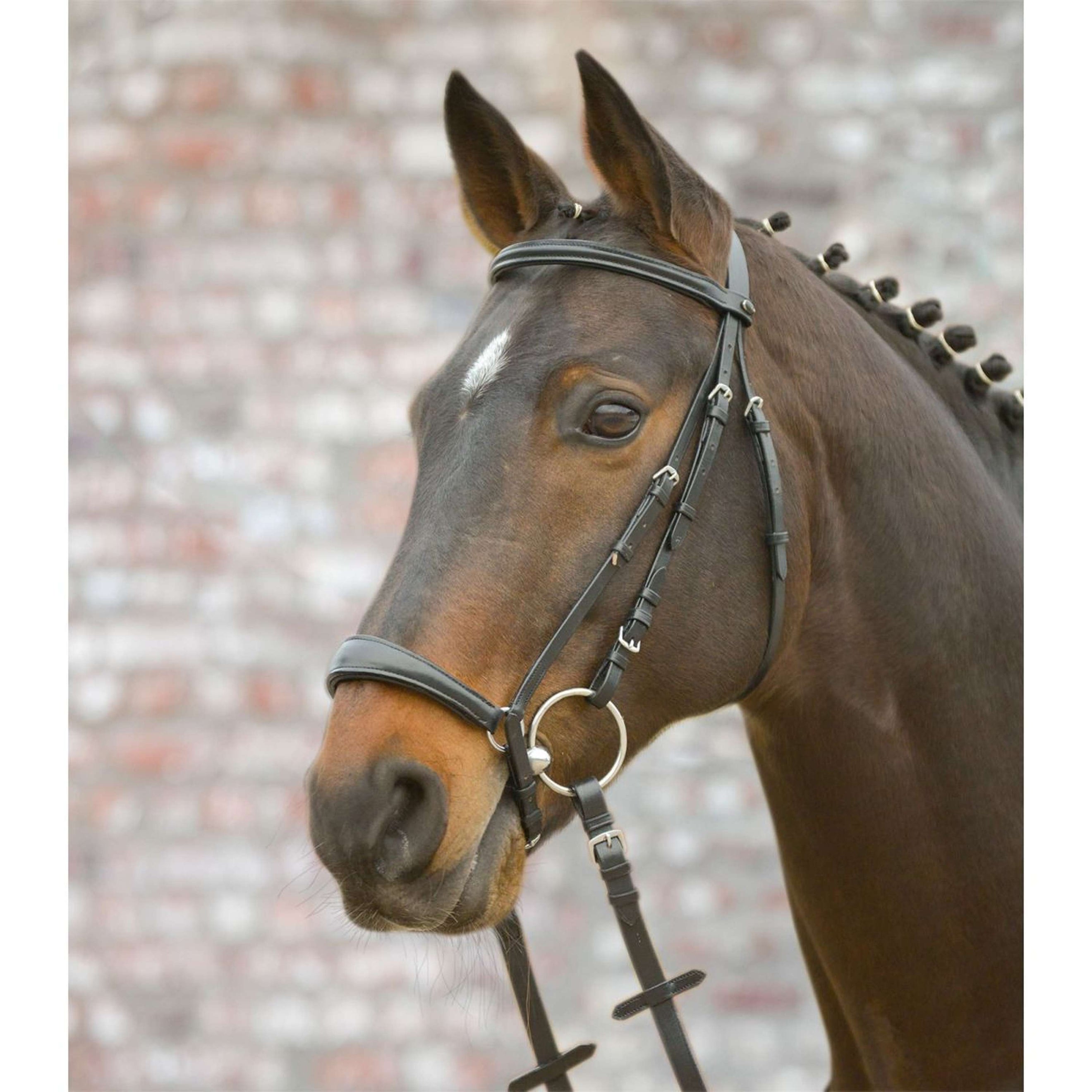 Star Brida Hannover Negro Star Brida Hannover Negro