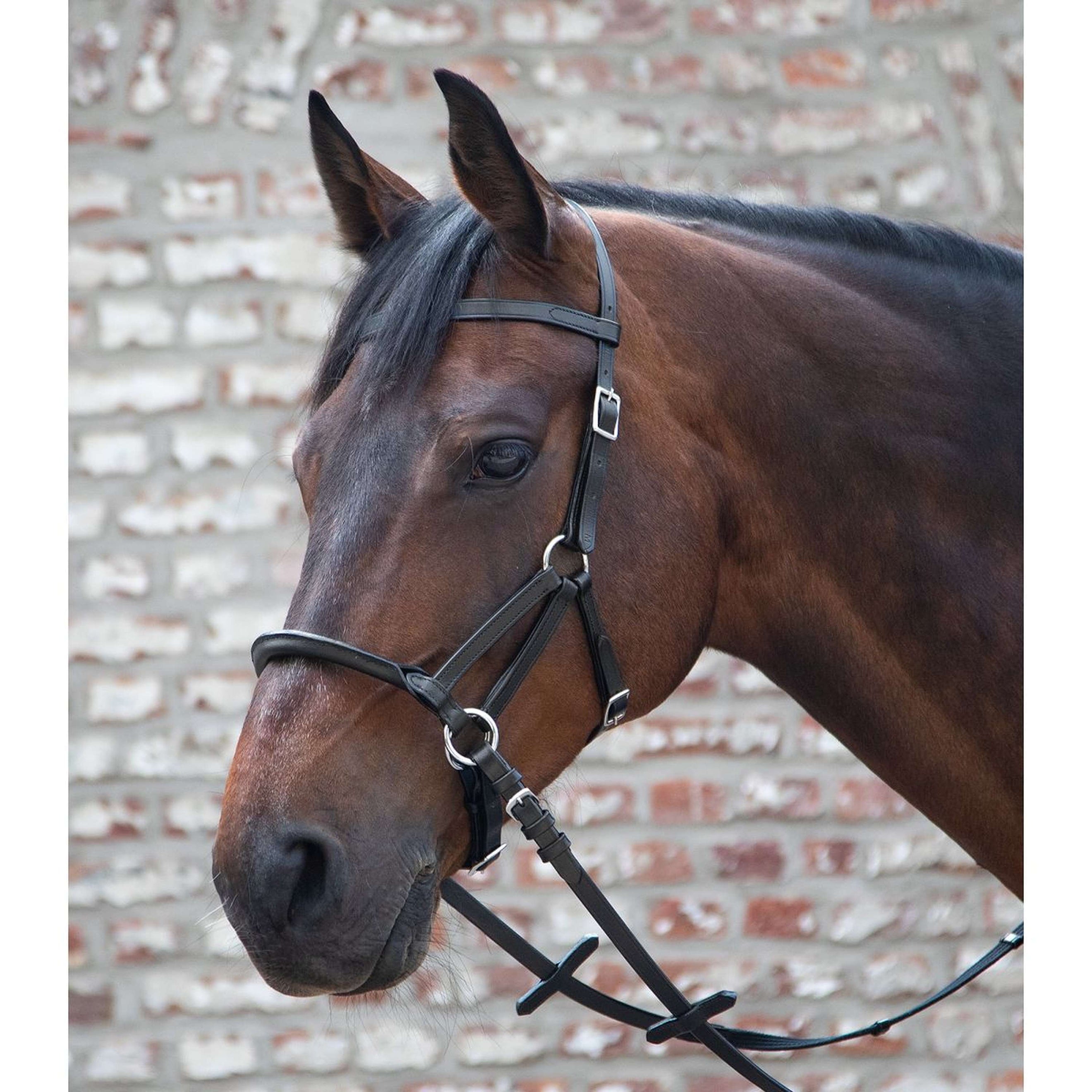 Waldhausen Brida sin Bocado Linda Tellington Jones Negro