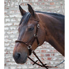 Waldhausen Brida sin Bocado Linda Tellington Jones Marron