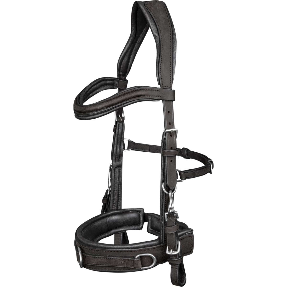 Waldhausen Cabezón Anatomisch Negro