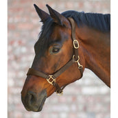 Waldhausen Cabezada X-Line Anatomic Leder Marron