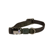 Weatherbeeta Dog Collar Elegance Negro