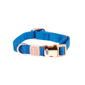 Weatherbeeta Dog Collar Elegance Azul