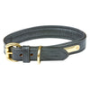 WeatherBeeta Dog Collar Cuero acolchado Negro