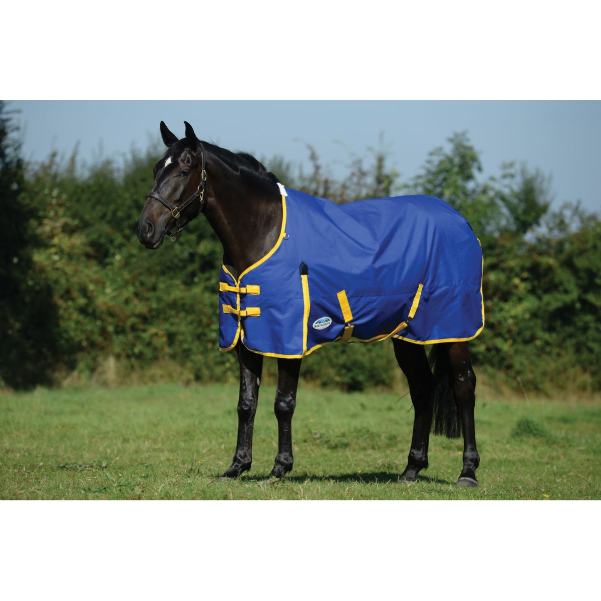 Weatherbeeta Comfitec Classic Standard Neck Medium Azul/Limon