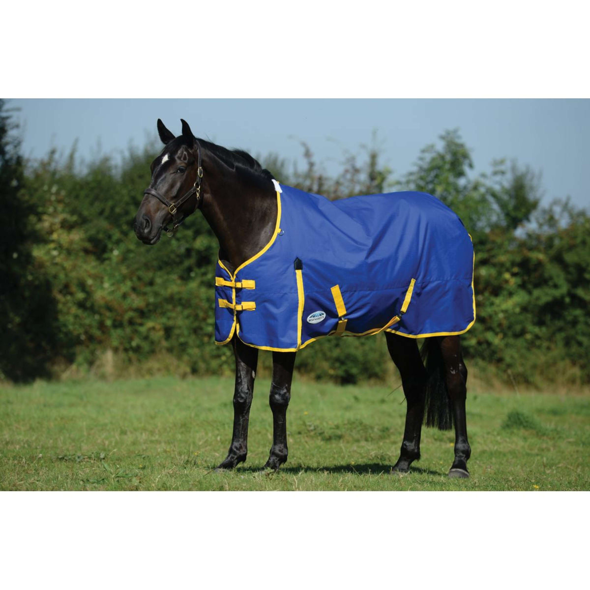 Weatherbeeta Comfitec Classic Standard Neck Medium Azul/Limon