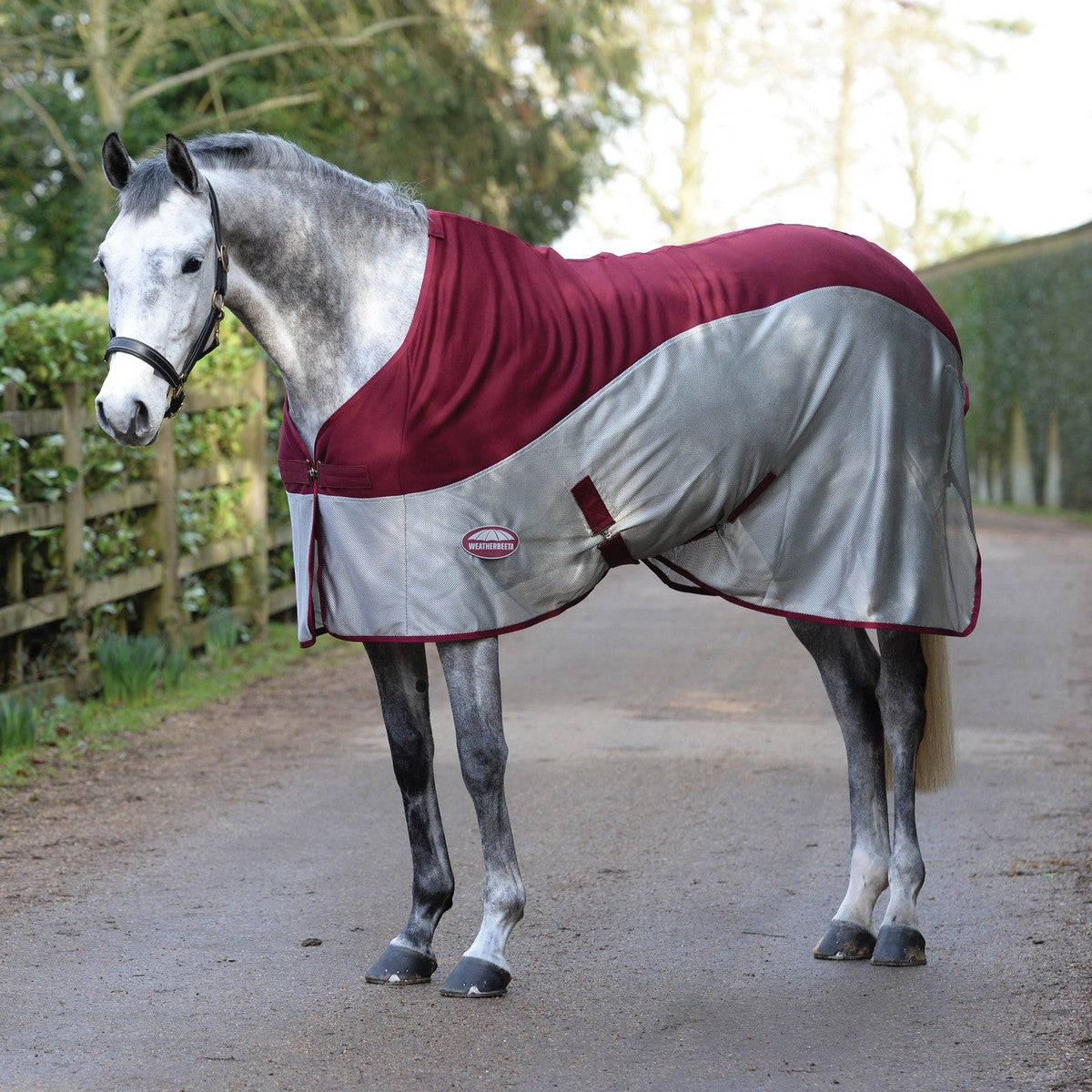 Weatherbeeta Microenfriador de aire St Neck Burdeos/Gris