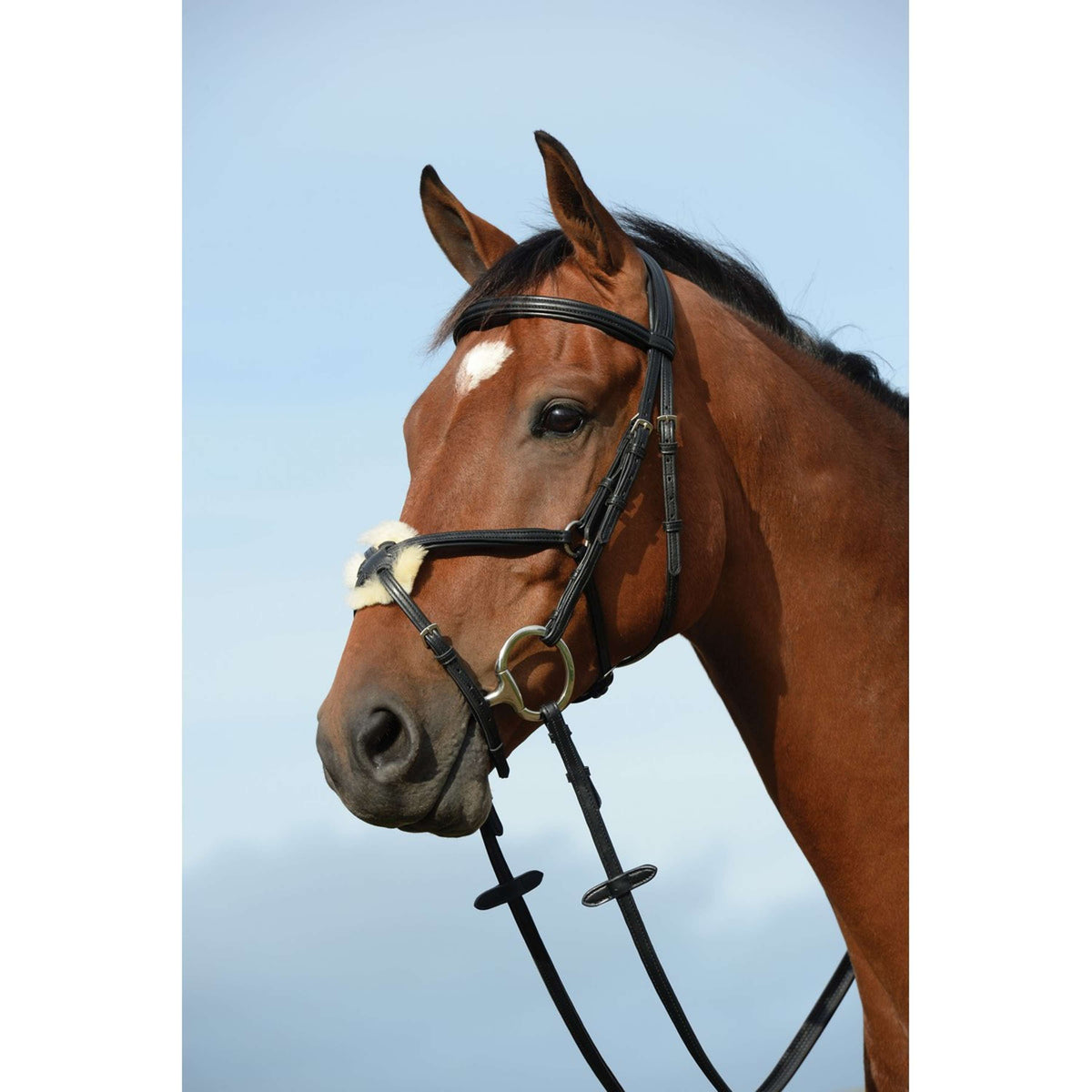 Collegiate Brida Syntovia+ Figure 8 Negro