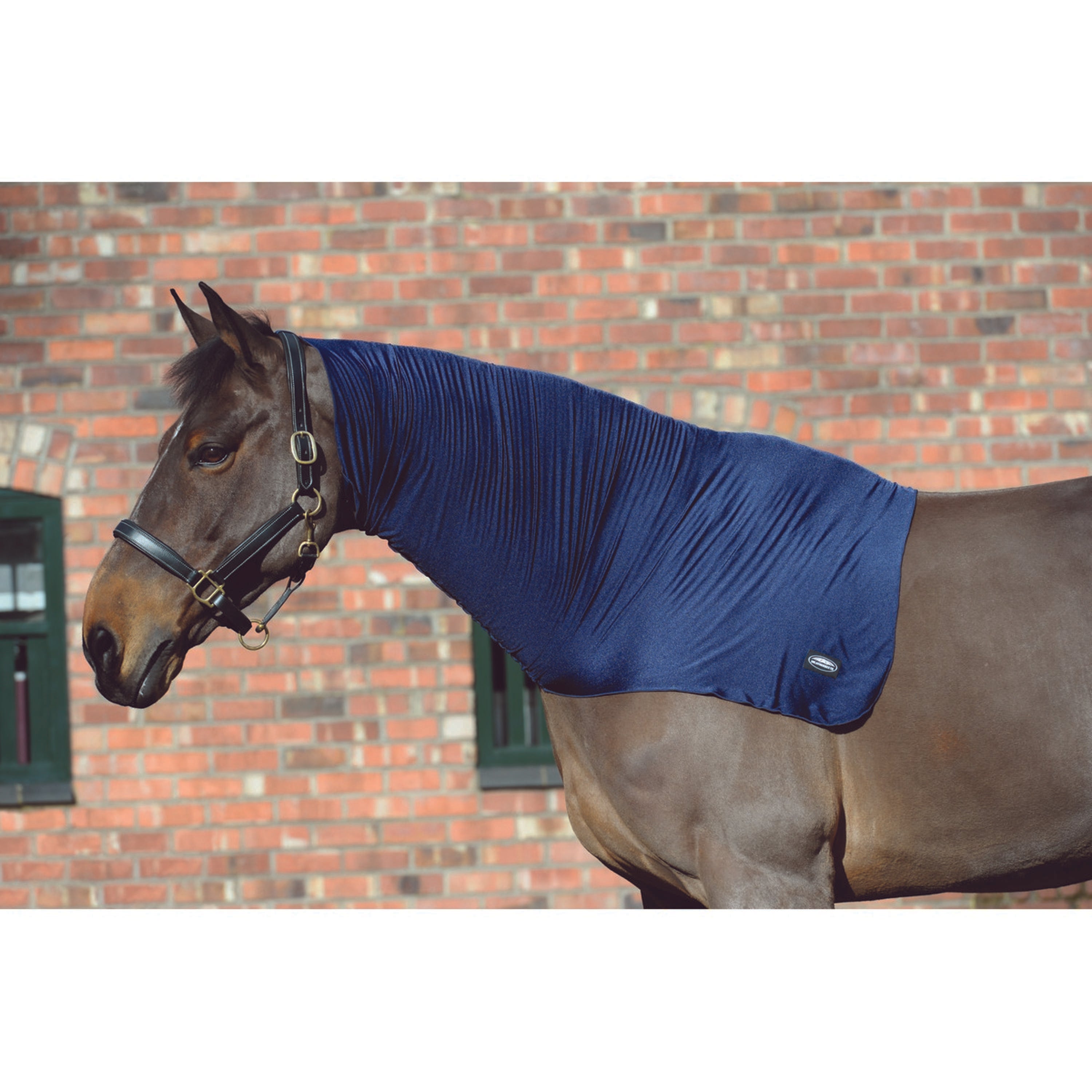 Weatherbeeta Cuello Espalda Stretch Navy
