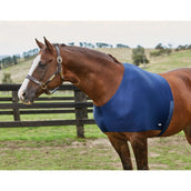 Weatherbeeta Guardia de hombro Stretch Navy