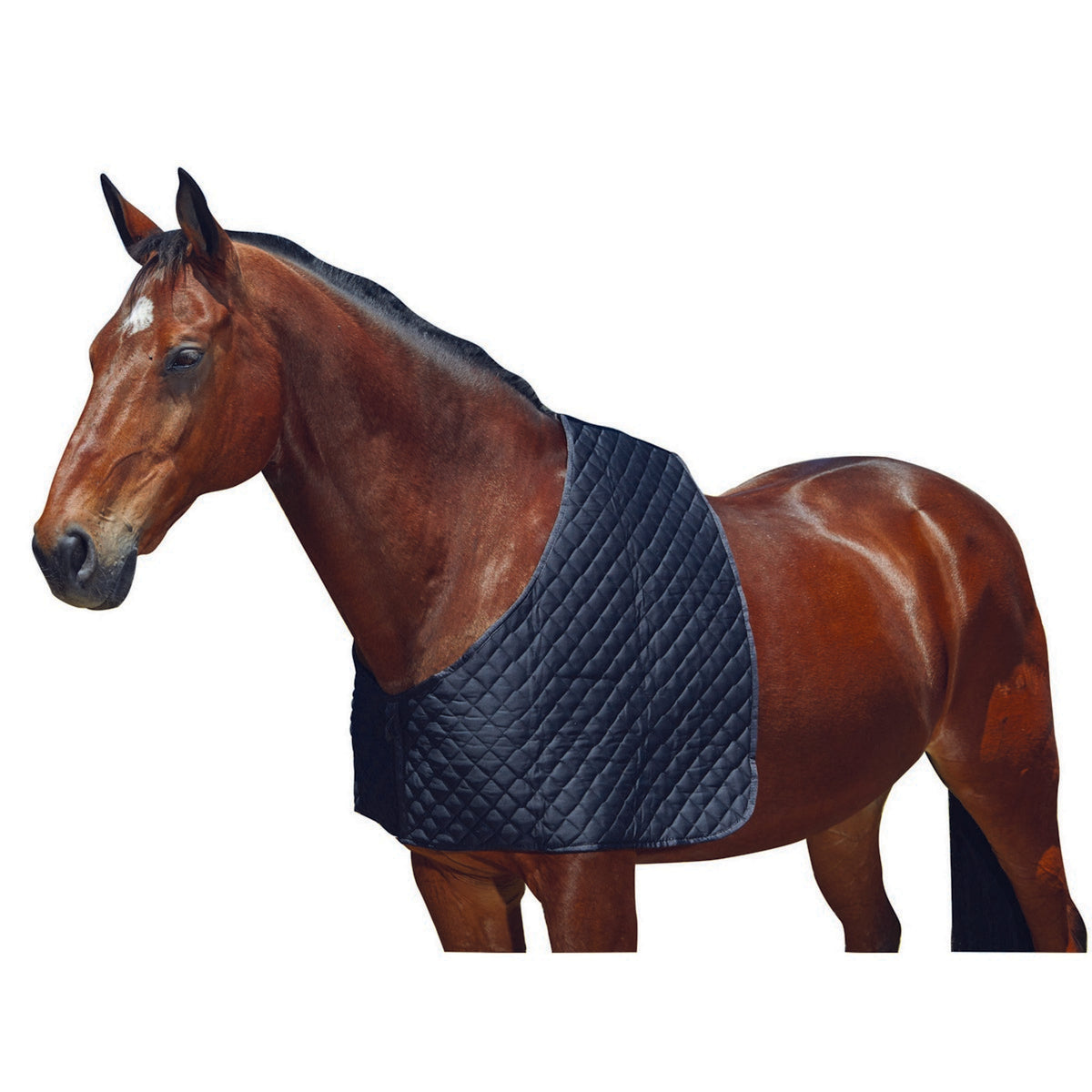 Weatherbeeta Guardia de hombro Deluxe Negro
