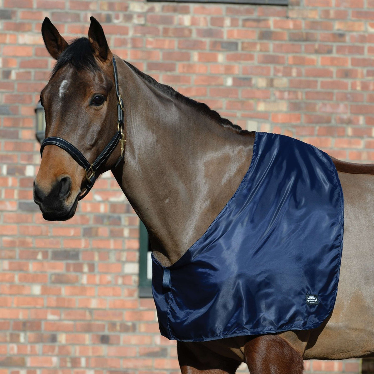 Weatherbeeta Guardia de hombro Satin Navy