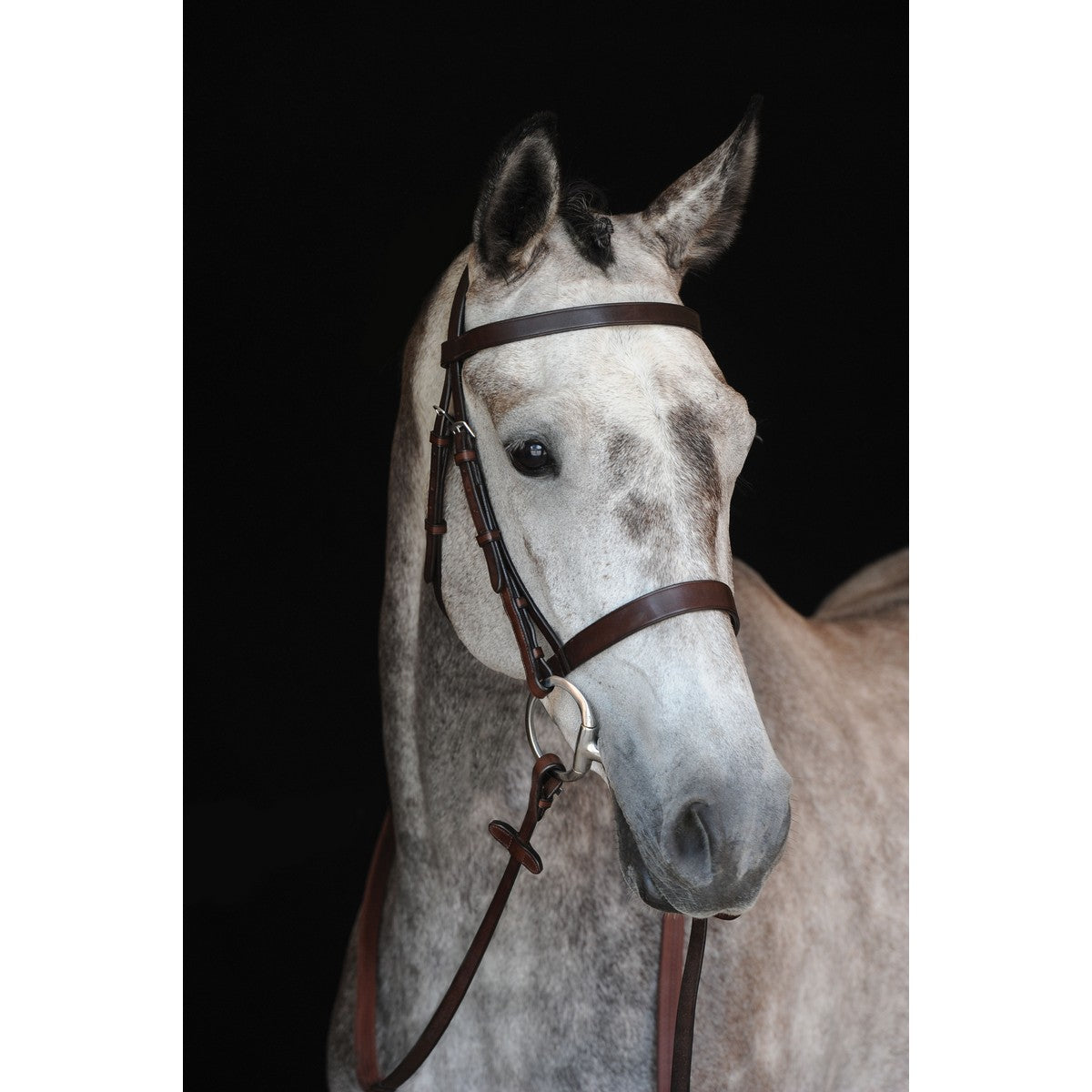 Collegiate Brida IV Hunt Cavesson Marron