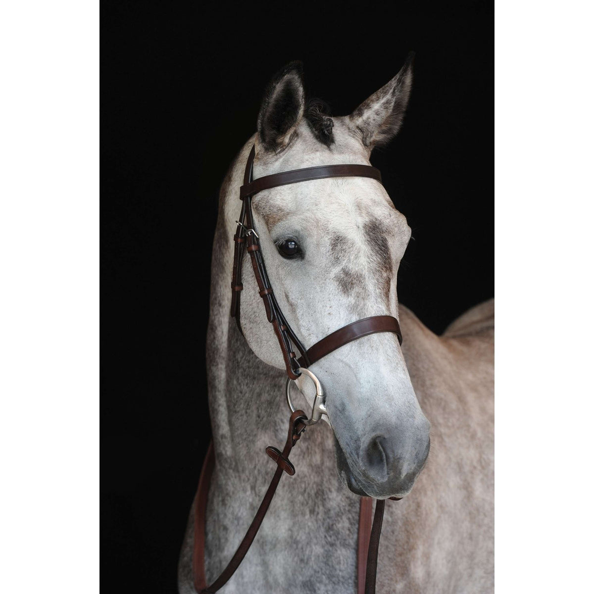 Collegiate Brida IV Hunt Cavesson Marron