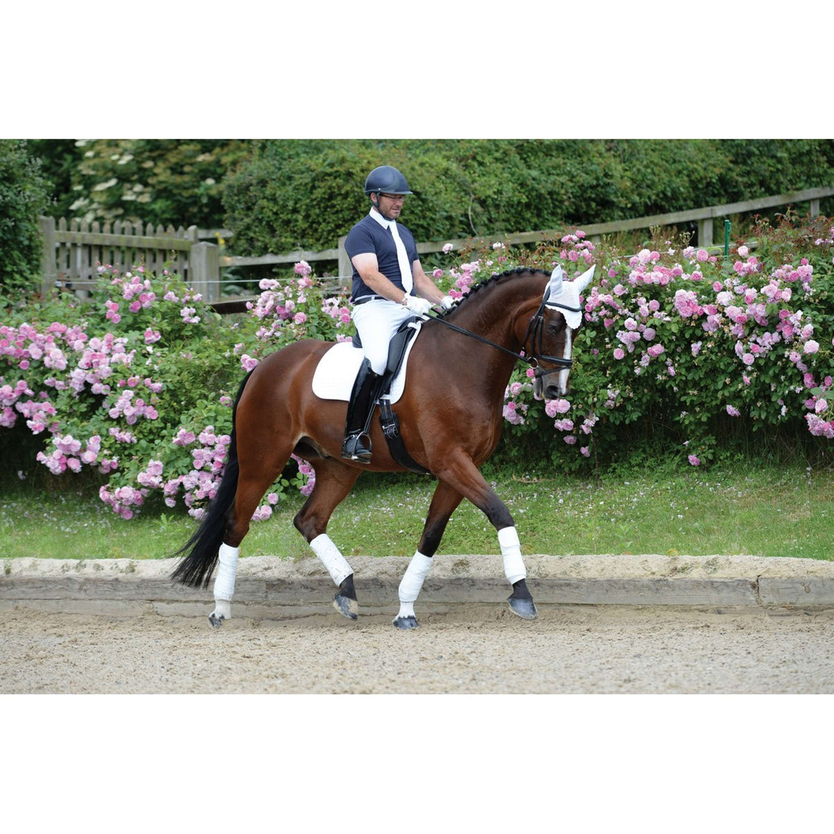 Weatherbeeta Vendajes Polares Prime 4 Piezas Blanco