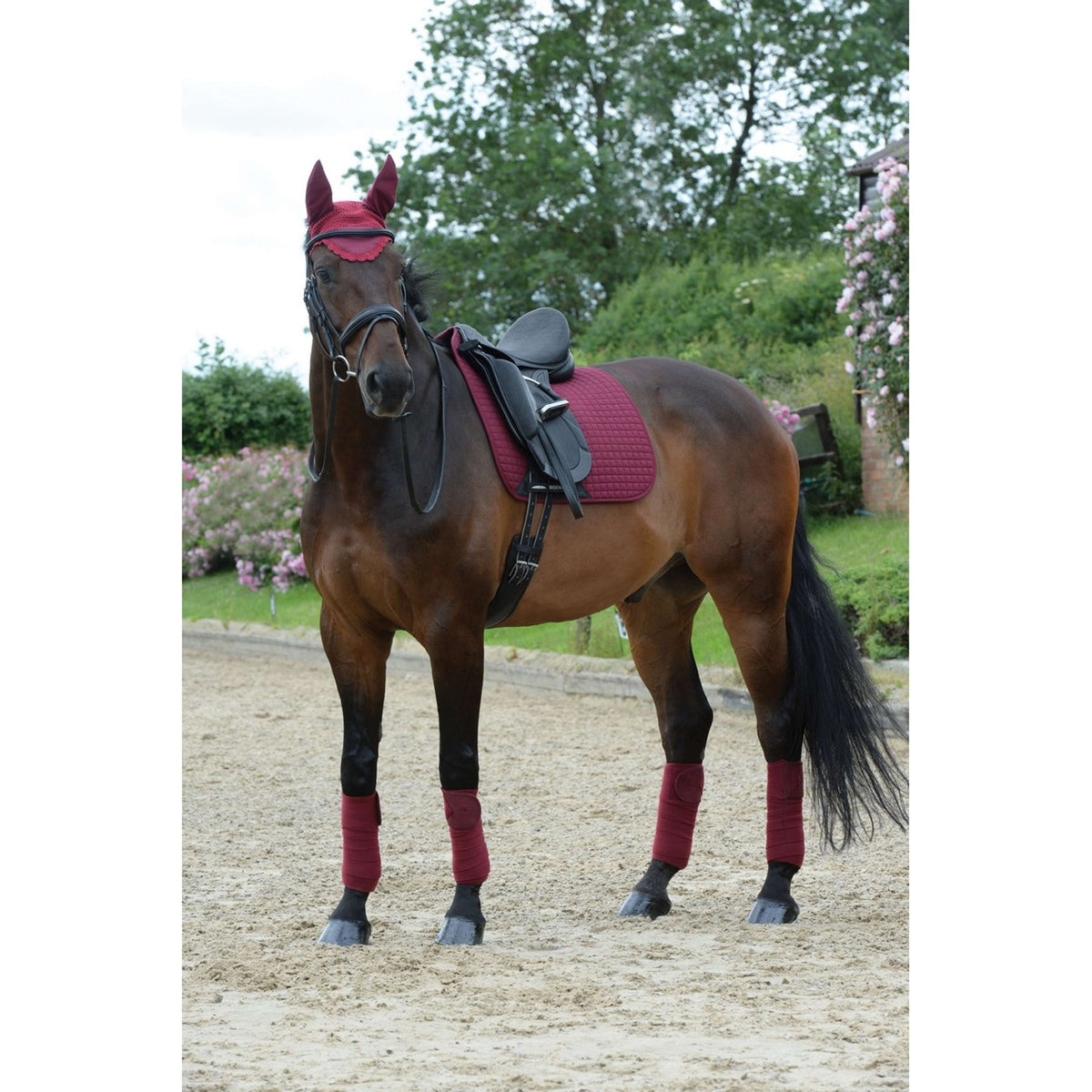 Weatherbeeta Vendajes Polares Prime 4 Piezas Maroon