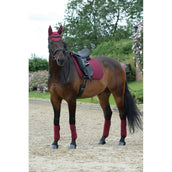 Weatherbeeta Vendajes Polares Prime 4 Piezas Maroon